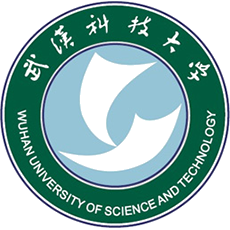Wuhan University of Science and Technology